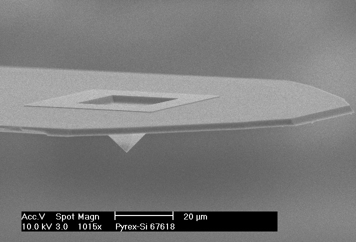 特殊研发的产品列表 - Special Developments List - NANOSENSORS™