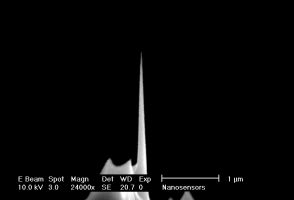 High-aspect-ratio AR10 AFM tip closeup