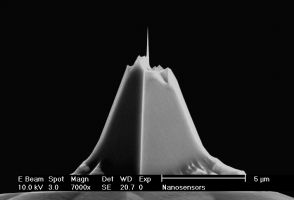 High-aspect-ratio AR10 AFM tip front view