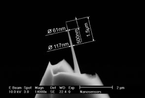 High-aspect-ratio tilt-compensated AR10T AFM tip closeup