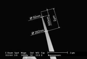 High-aspect-ratio tilt-compensated AR5T AFM tip closeup