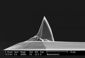 PointProbe Plus rotated AFM tip side view