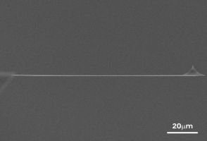 350nm thin uniqprobe AFM cantilever side view