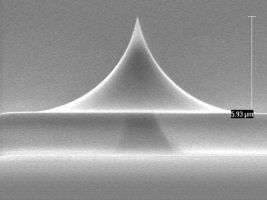 uniqprobe qp-fast AFM tip side view