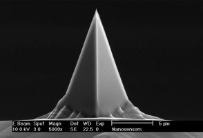 Front view SEM image of PointProbe AFM tip