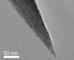 Close-up view SEM image of PointProbe AFM tip